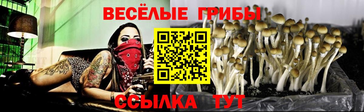 Галлюциногенные грибы мицелий  Галлюциногенные грибы Psilocybe  Назрань  Вход с VPN 